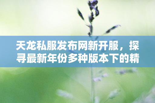 探寻最新年份多种版本下的精彩游戏世界天龙私服图片