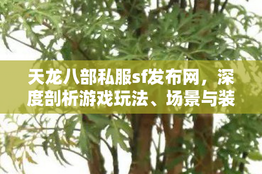 天龙八部私服sf发布网图片