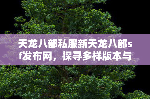天龙八部私服新天龙八部sf发布网图片