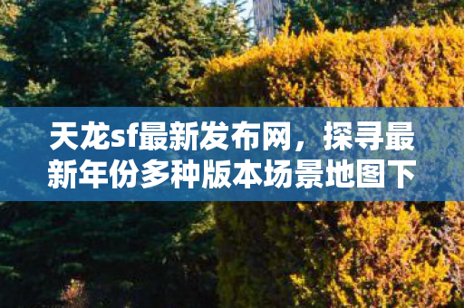 探寻最新年份多种版本场景地图下的独特玩法天龙八部私服图片