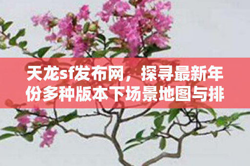 探寻最新年份多种版本下场景地图与排名图片