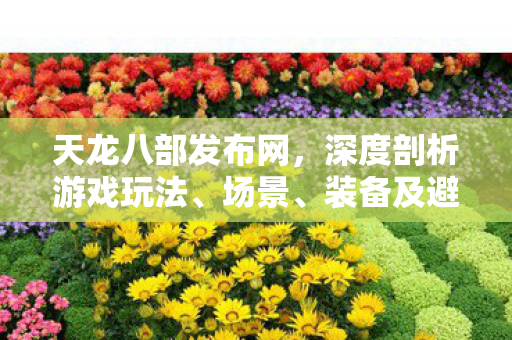 装备及避坑指南天龙私服图片