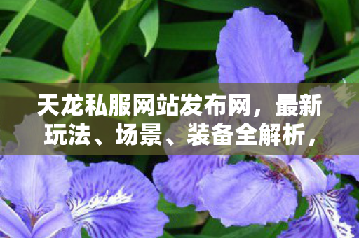 避坑指南与疑问解答天龙八部私服图片