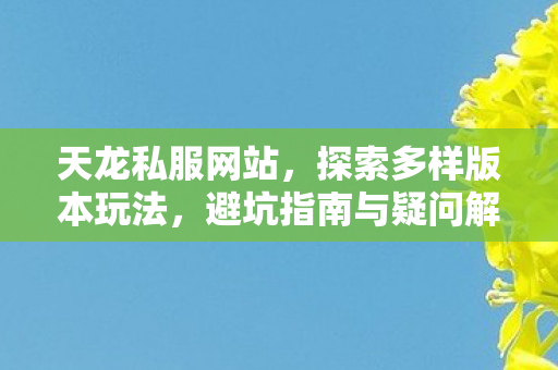 避坑指南与疑问解答天龙私服图片