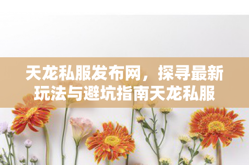 探寻最新玩法与避坑指南天龙私服图片