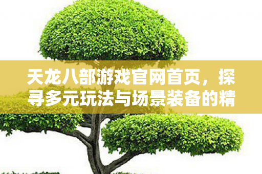 探寻多元玩法与场景装备的精彩世界天龙私服图片