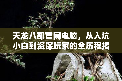 从入坑小白到资深玩家的全历程揭秘天龙私服图片