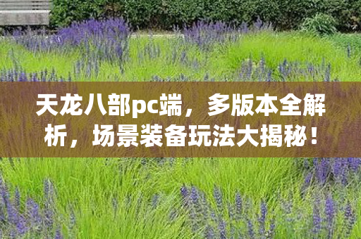 场景装备玩法大揭秘图片