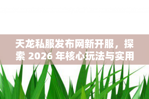 探索 2026 年核心玩法与实用指南天龙八部私服图片