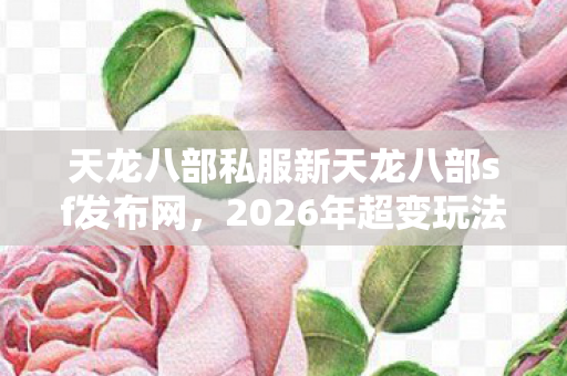 2026年超变玩法权威指南与痛点全解天龙私服图片