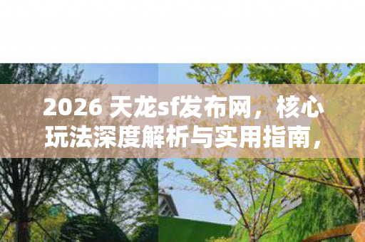 核心玩法深度解析与实用指南图片