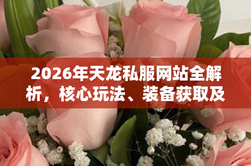 装备获取及痛点解决方案天龙八部私服图片