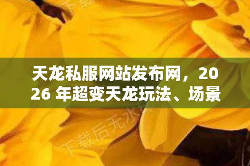 装备实用指南大揭秘天龙八部私服图片