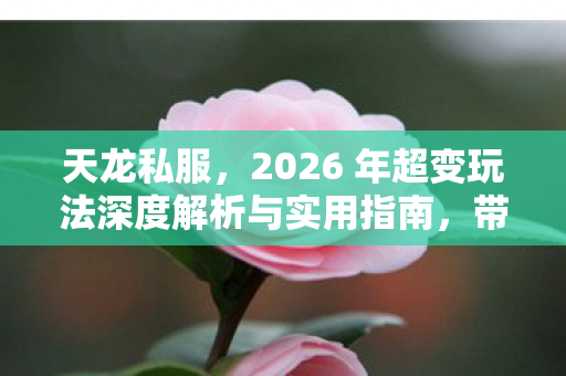 2026 年超变玩法深度解析与实用指南图片