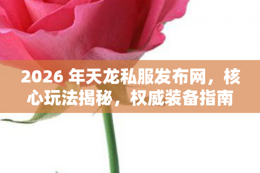 2026 年天龙私服发布网图片
