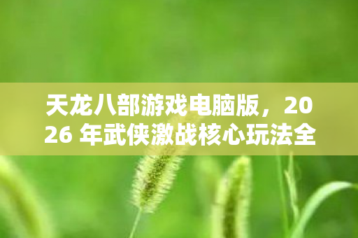 2026 年武侠激战核心玩法全解析与实用指南天龙八部私服图片