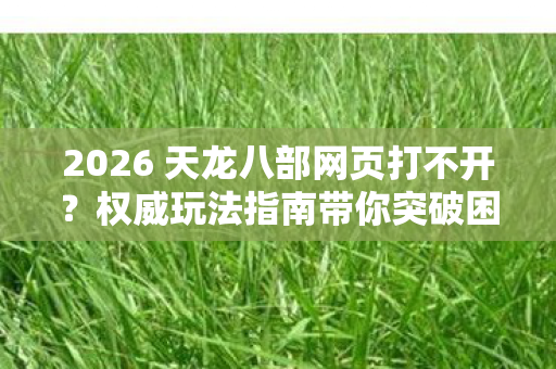 权威玩法指南带你突破困境寻解决方案天龙私服图片