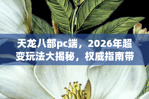 2026年超变玩法大揭秘图片