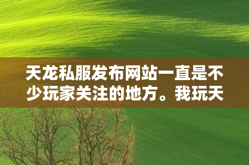 天龙私服发布网站一直是不少玩家关注的地方图片