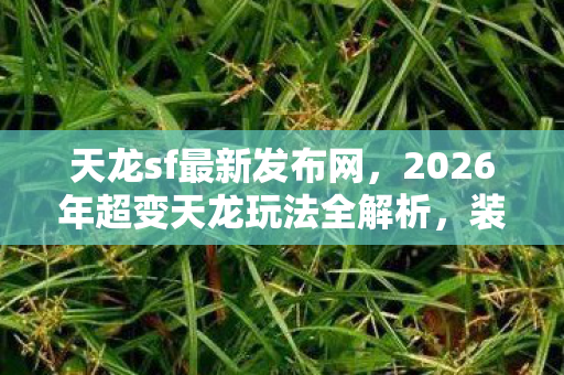 2026年超变天龙玩法全解析图片