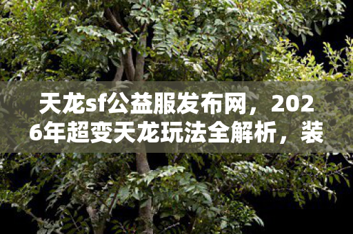 2026年超变天龙玩法全解析图片