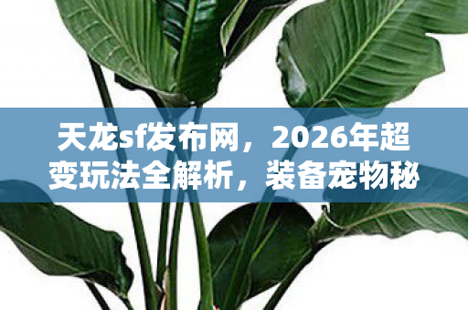 装备宠物秘籍大公开天龙八部私服图片