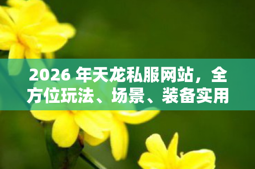 装备实用指南大揭秘天龙八部私服图片
