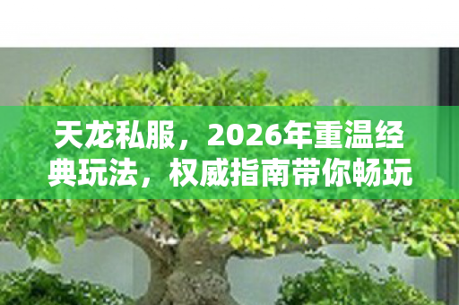 权威指南带你畅玩天龙世界天龙私服图片