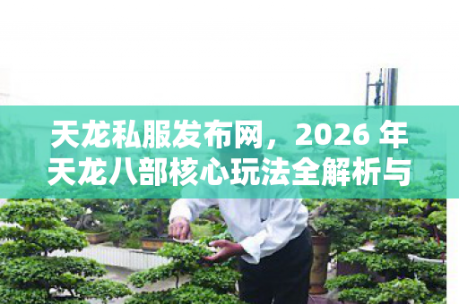 2026 年天龙八部核心玩法全解析与实用指南天龙八部私服图片