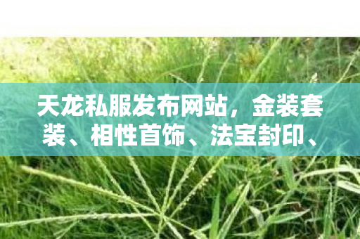 属性重组全解析天龙八部私服图片