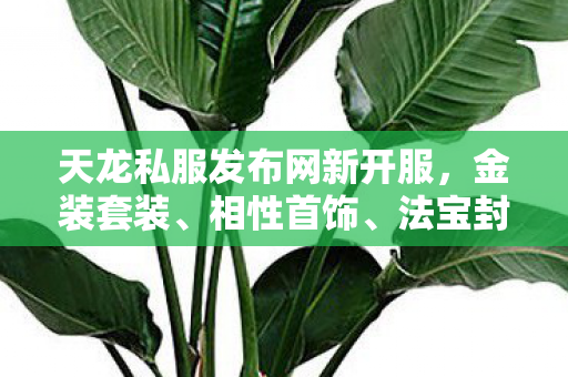 法宝封印等玩法深度解析天龙私服图片
