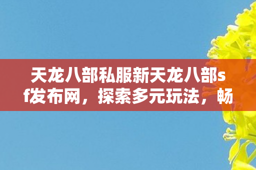 天龙八部私服新天龙八部sf发布网图片