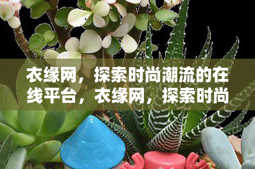 探索时尚潮流的在线平台图片