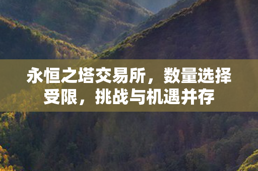 永恒之塔交易所图片