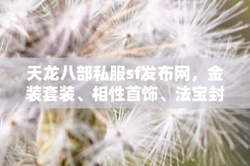 天龙八部私服sf发布网图片