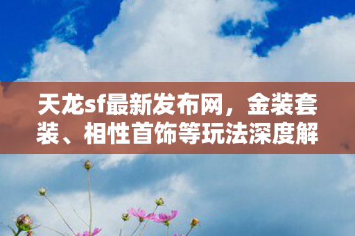 相性首饰等玩法深度解析天龙私服图片