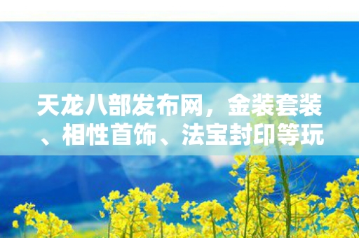 法宝封印等玩法深度解析天龙八部私服图片