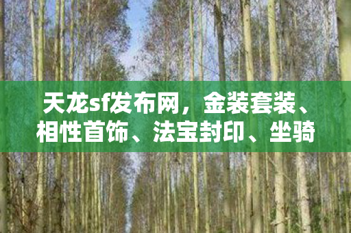 装备共鸣全解析天龙私服图片