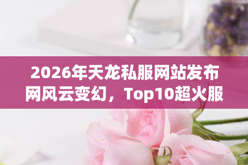 2026年天龙私服网站发布网风云变幻图片