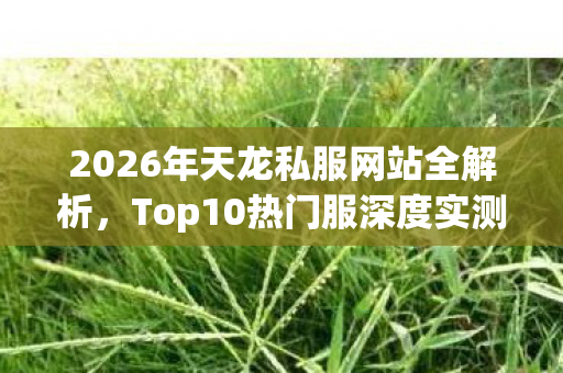 2026年天龙私服网站全解析图片