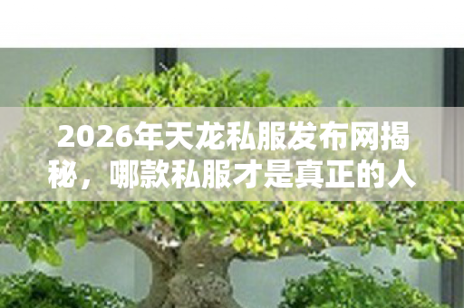 2026年天龙私服发布网揭秘图片