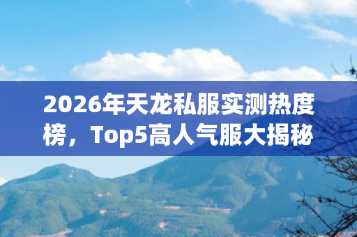 2026年天龙私服实测热度榜图片