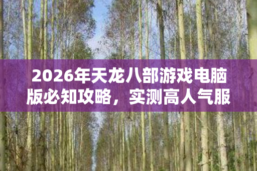 2026年天龙八部游戏电脑版必知攻略图片