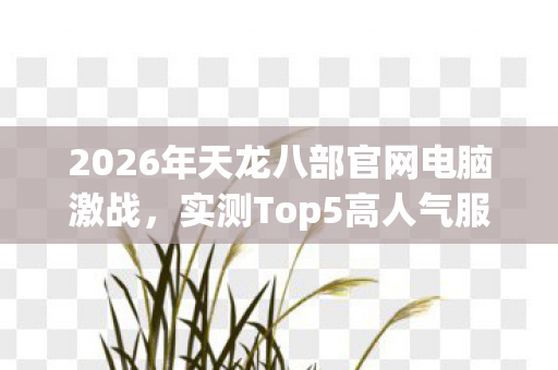 2026年天龙八部官网电脑激战图片