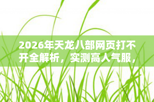 2026年天龙八部网页打不开全解析图片