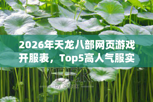 2026年天龙八部网页游戏开服表图片
