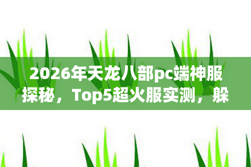 2026年天龙八部pc端神服探秘图片