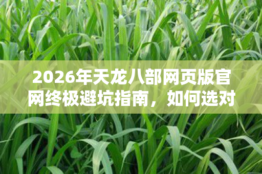 2026年天龙八部网页版官网终极避坑指南图片