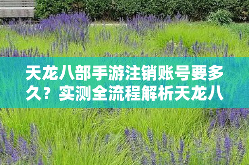 天龙八部手游注销账号要多久图片