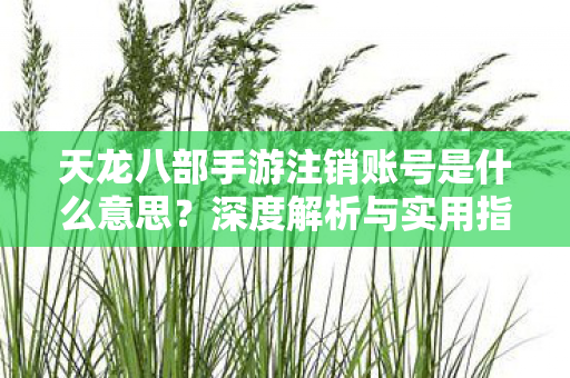 天龙八部手游注销账号是什么意思图片